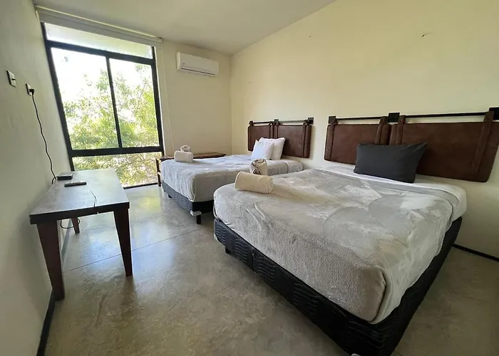 Private Rooftop With Jacuzzi Sleeps 8 In La Veleta